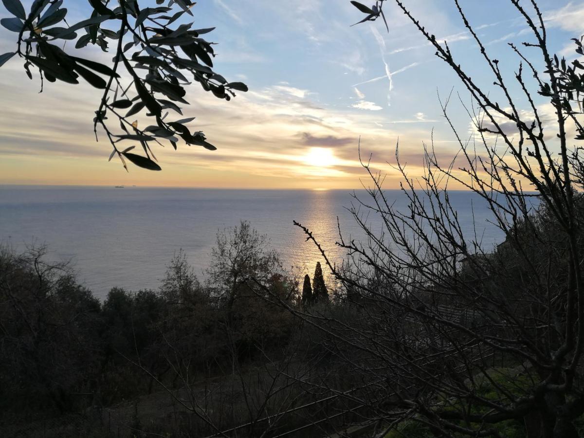 Villa Giò - Terrazza nel Blu Bergeggi Exterior foto